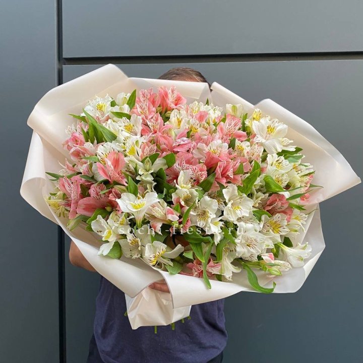 39 альстромерий в Орске