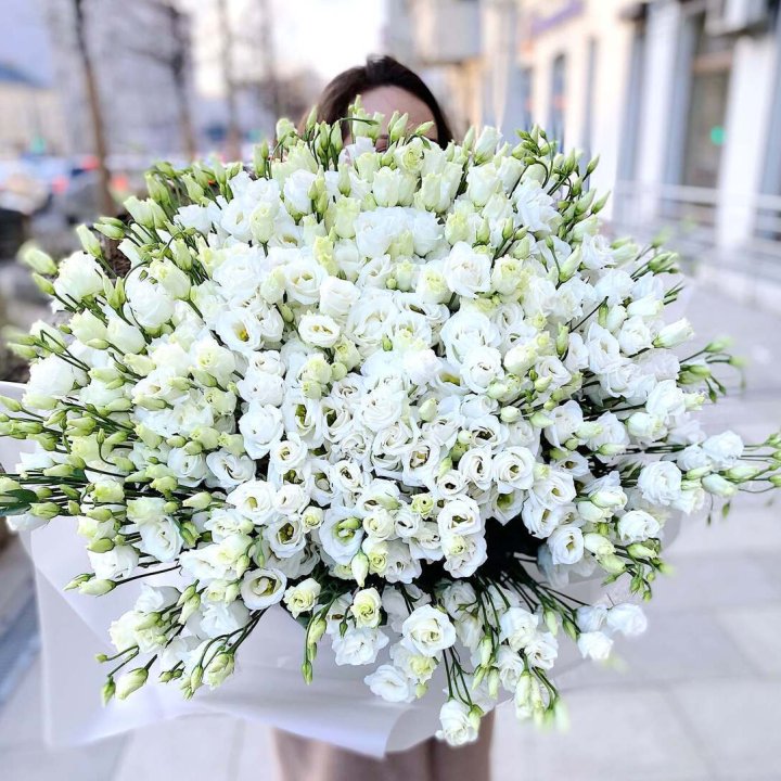 101 белая эустома в Орске