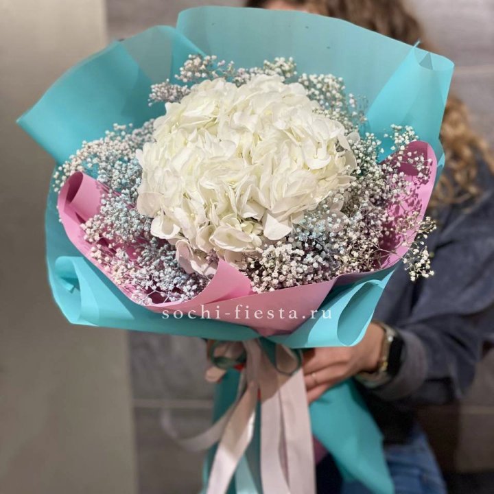 Гортензия "Райдов" в Орске