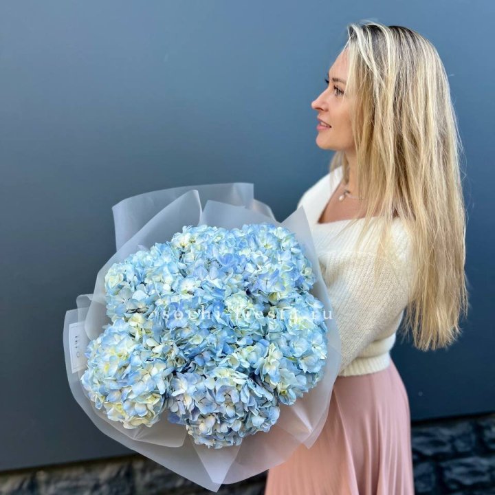7 голубых гортензий в Орске
