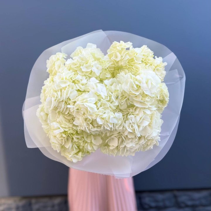 7 белых гортензий в Орске