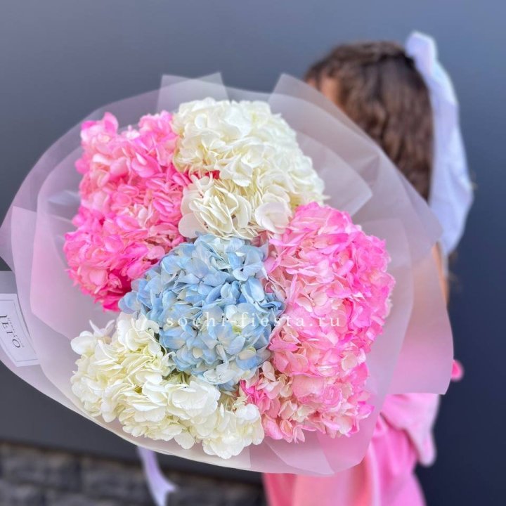 7 гортензий микс в Орске