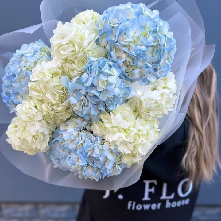 9 бело-голубых гортензий в Орске