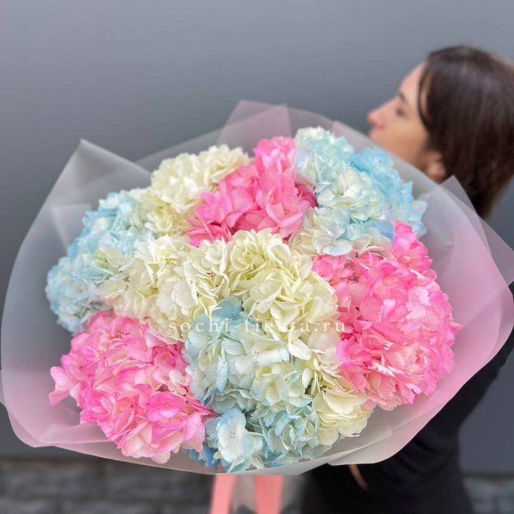 9 гортензий микс в Орске