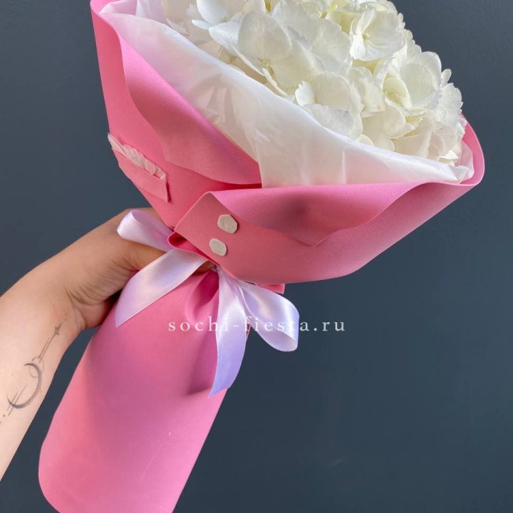 Гортензия в розовом пиджаке в Орске