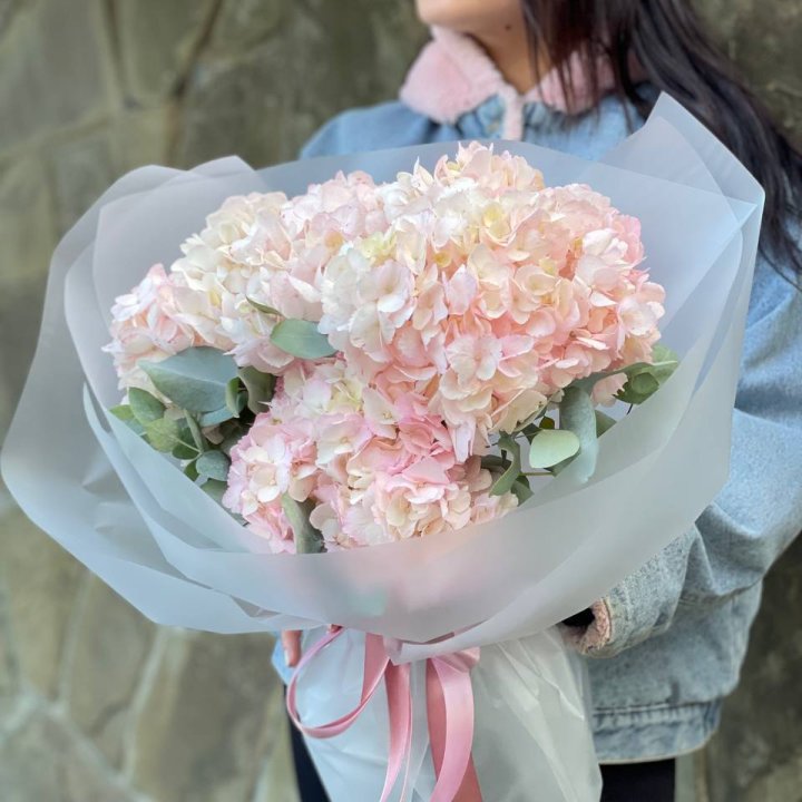 5 розовых гортензий в Орске