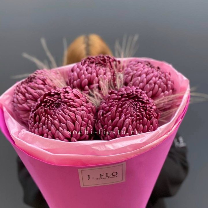 Хризантемы  Бигуди с стифой в Орске