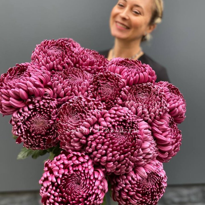 Охапка хризантем Бигуди в Орске