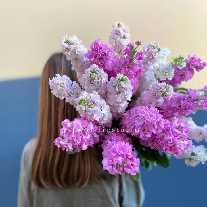 Охапка маттиолы в Орске