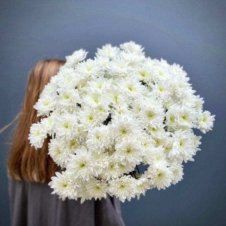 Охапка Хризантемы кустовой в Орске