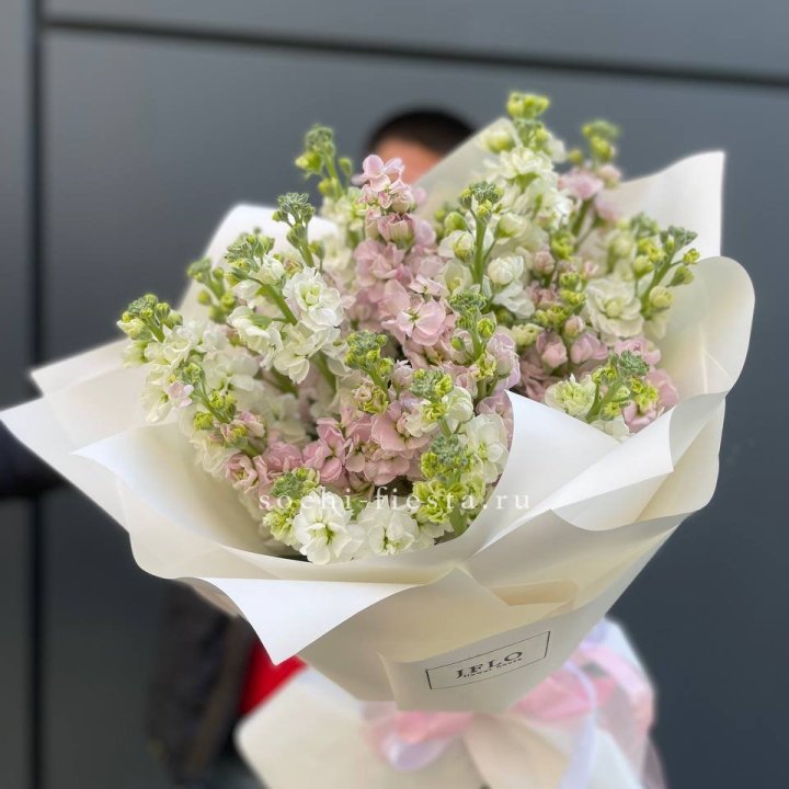 29 маттиол  в Орске