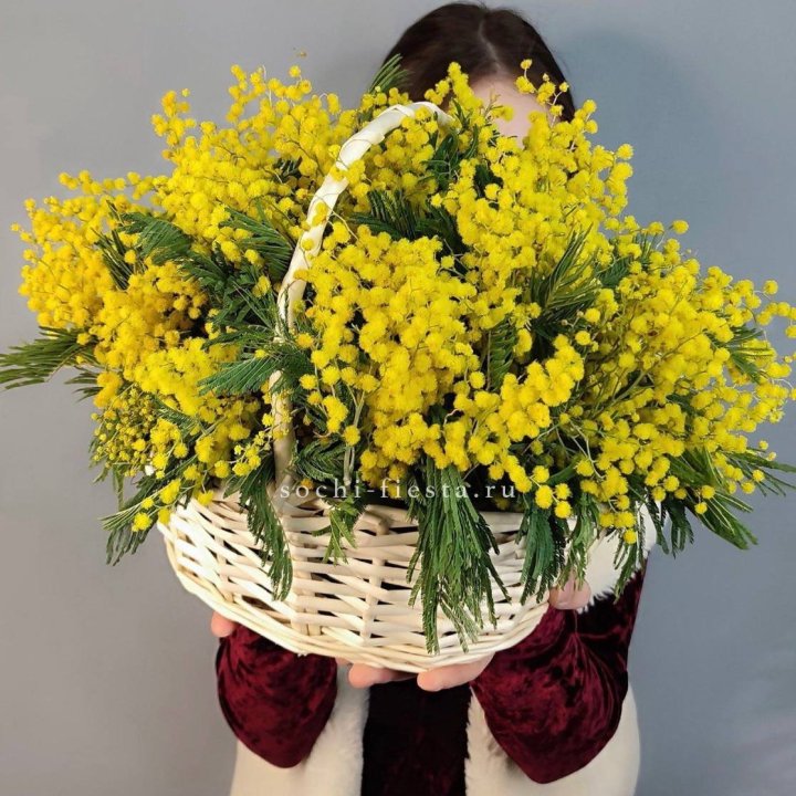 Корзина ароматной мимозы в Орске