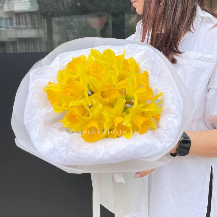 Нарциссы 25 шт в Орске