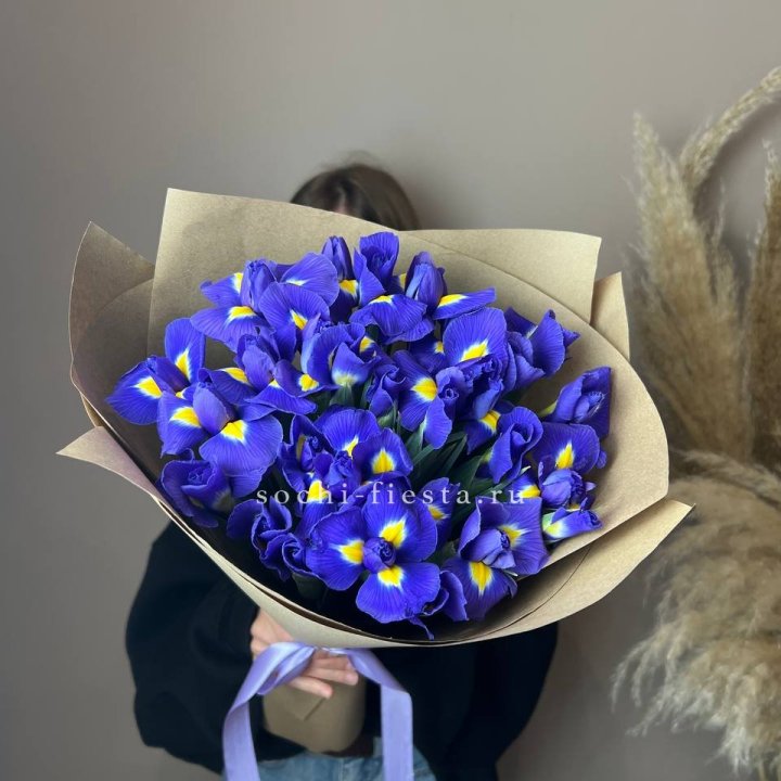 Ирисы в Орске