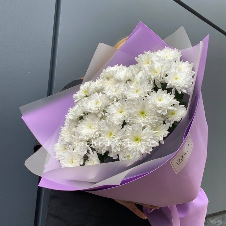  7 хризантем  в Орске