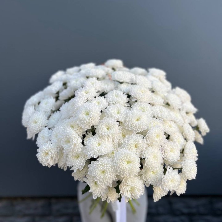  25 хризантем белых в Орске