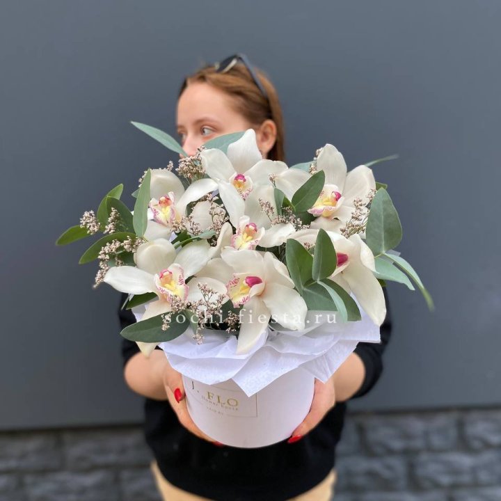 7 орхидей в боксе в Орске