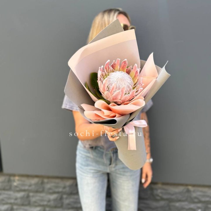 Протея мини  в Орске