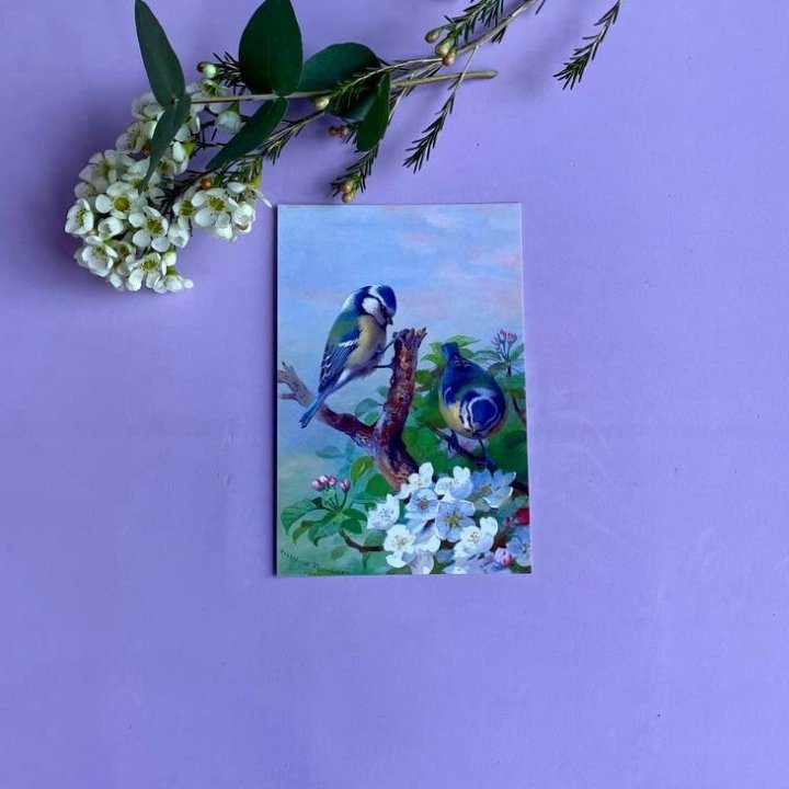 Открытка к букету "Птицы" в Орске