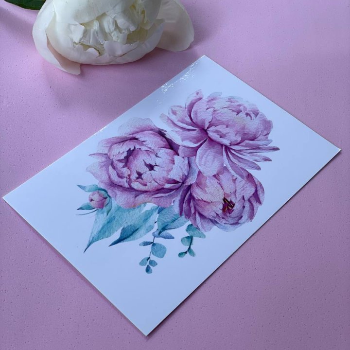 Открытка к букету "Пионы" в Орске