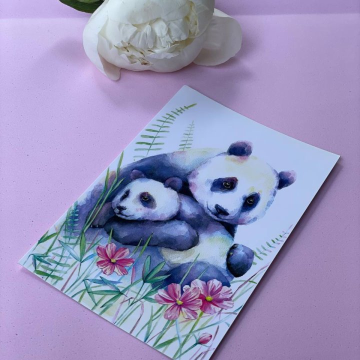 Открытка к букету "Объятие Панды" в Орске