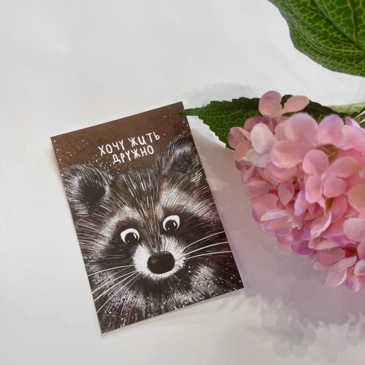 Открытка к букету "Енотик" в Орске