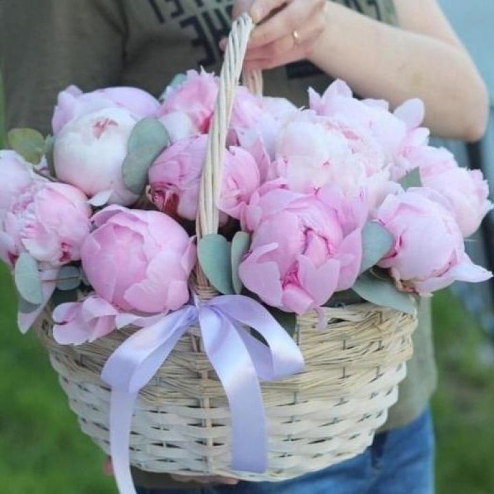 15 пионов в корзине в Орске