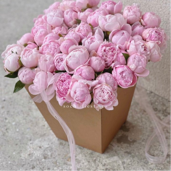 49 пионов в крафт коробке в Орске