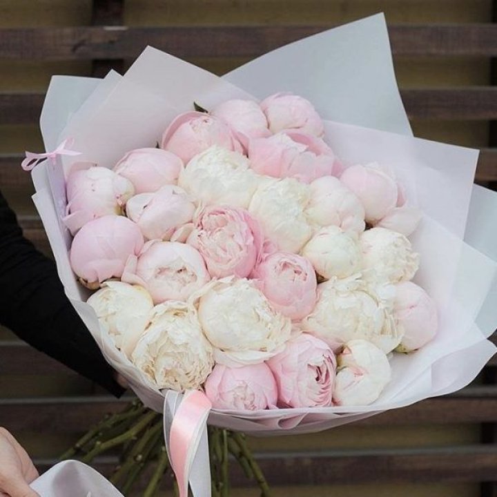 29 пионов в Орске