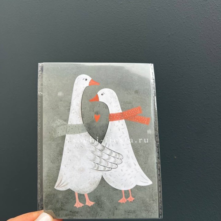 Открытка к букету "Гуси” в Орске