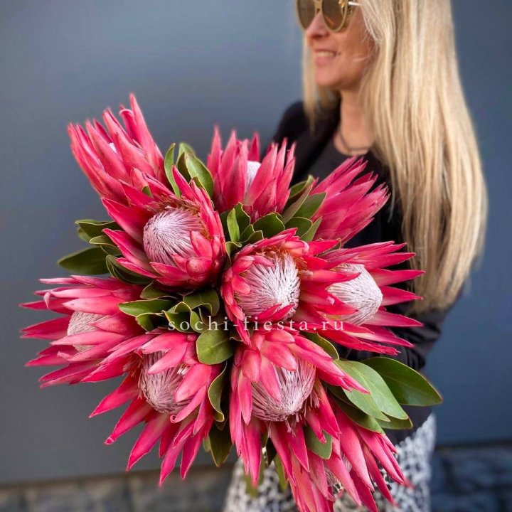 Протея штучно в Орске