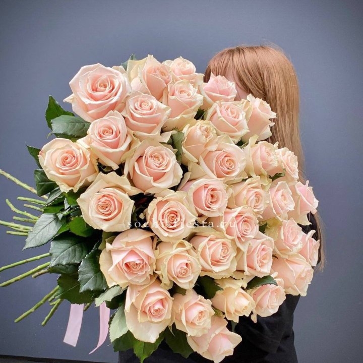 35 кремовых высоких роз в Орске
