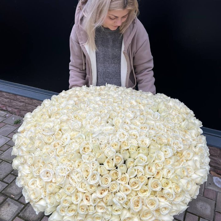 501 белая роза в корзине в Орске