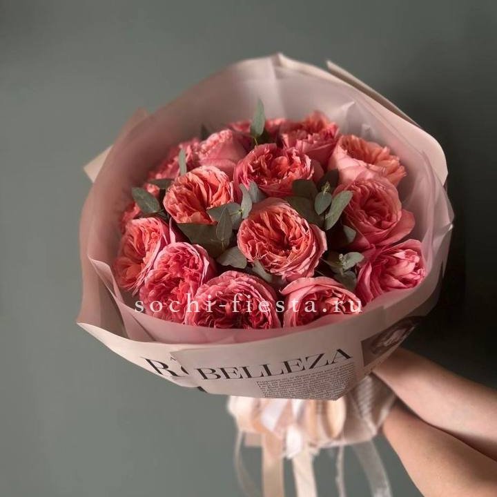 15 Пинк экспрешен в Орске