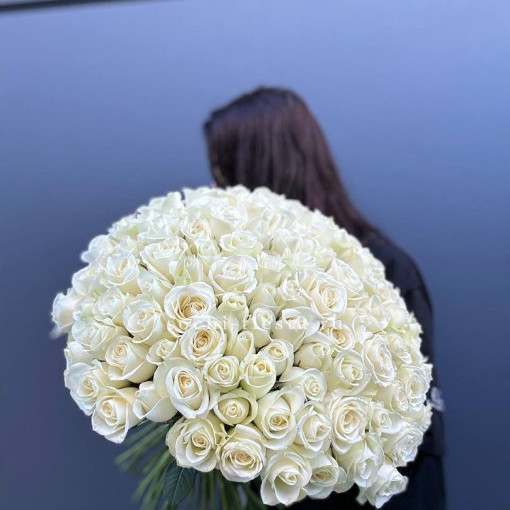 Охапка из 101 белой розы  в Орске