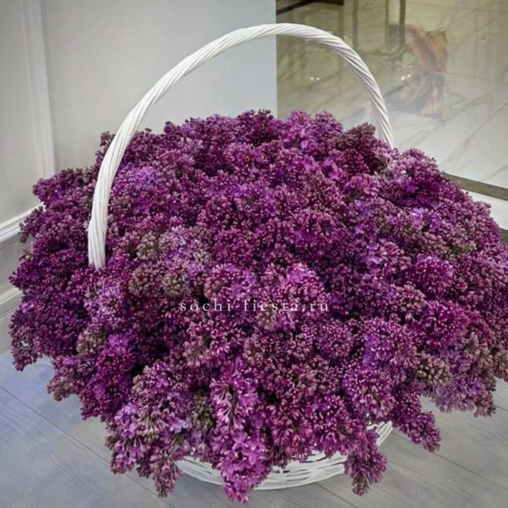 Корзина сирени в Орске
