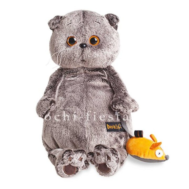 Кот Басик с мышкой в Орске