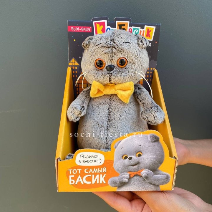 Кот Басик с бабочкой в Орске