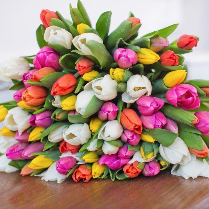 79 тюльпанов "Рандом" в Орске