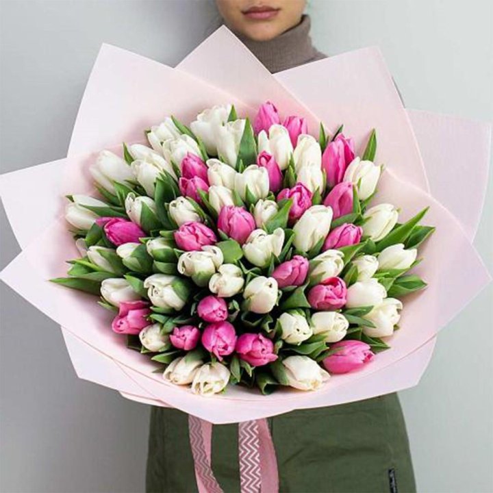 61 бело-розовый тюльпан в Орске