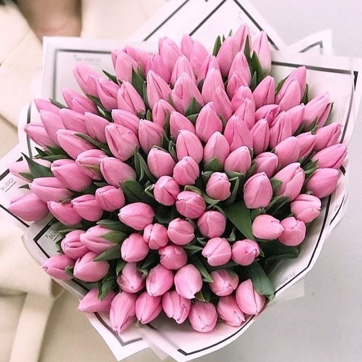 101 розовый тюльпан в белом в Орске