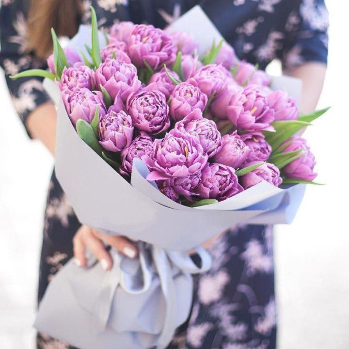 Тюльпаны "Пионс" в Орске