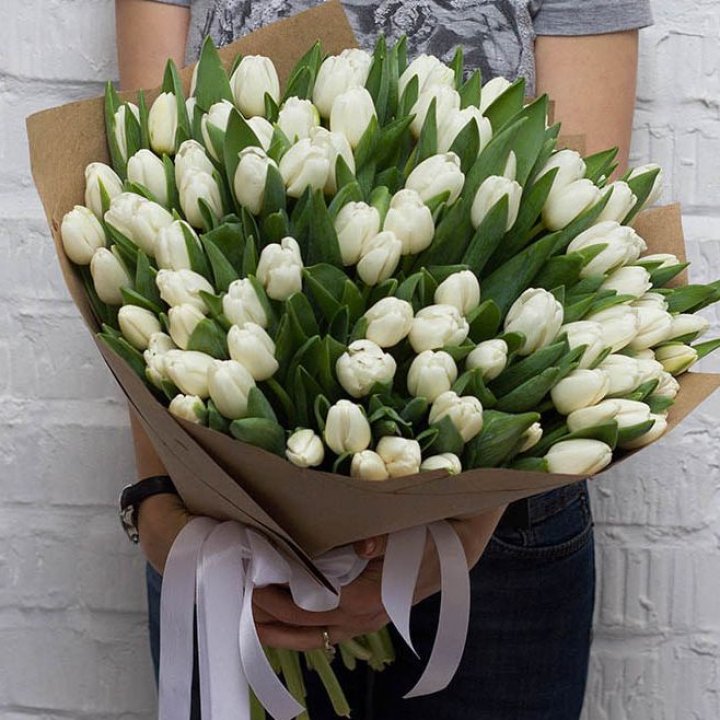 101 тюльпан сноу в Орске