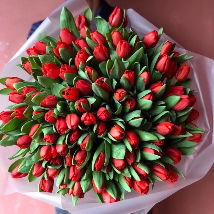 101 красный тюльпан в Орске